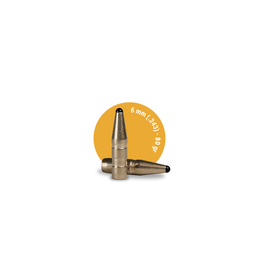 Fox Bullets Classic Hunter 6mm (.243) 80gr Grunwald AMMO