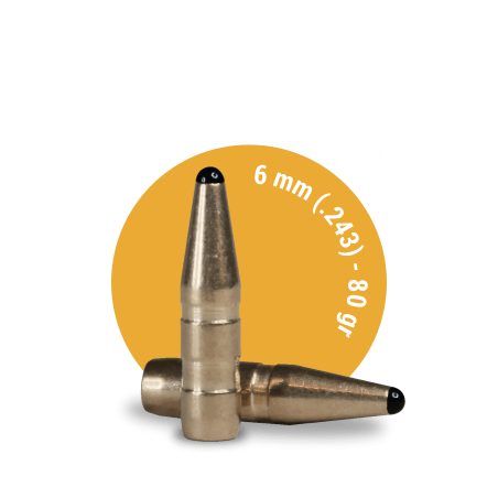 Fox Bullets Classic Hunter 6mm (.243) 80gr